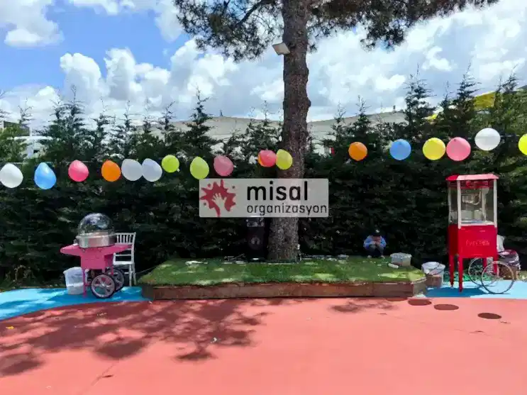 Patlamış Mısır Arabası Kiralama