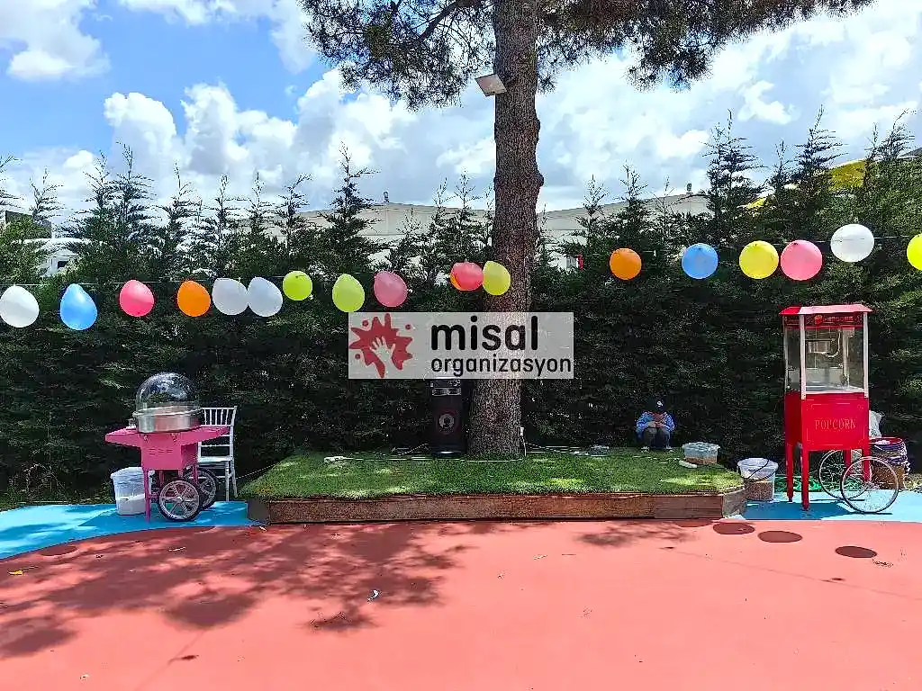 Patlamış Mısır Arabası Kiralama